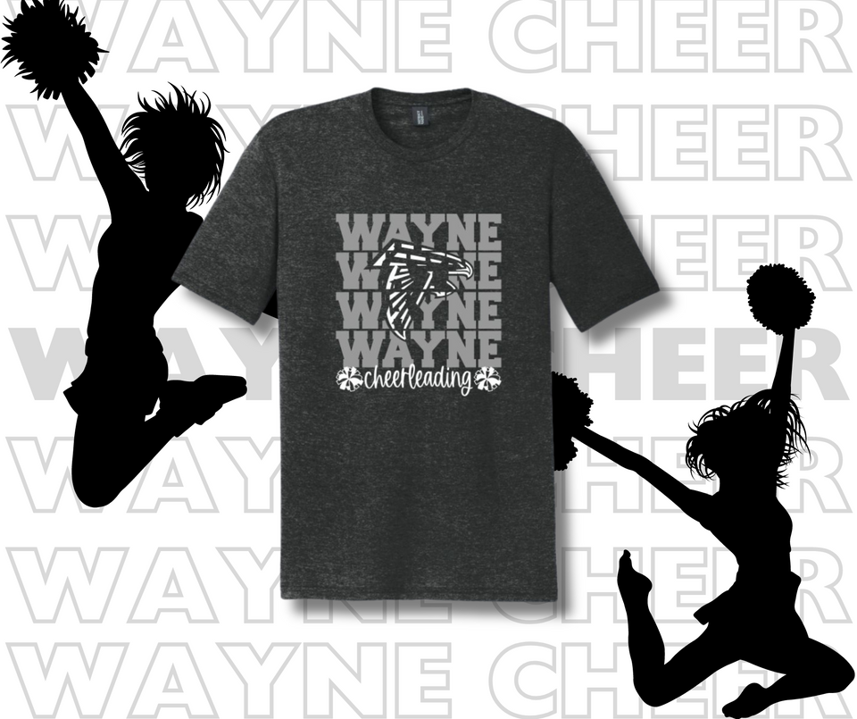 Wayne Cheerleading 2024