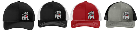 Algona Paw Club - Youth Snapback Trucker Cap | Bullpup